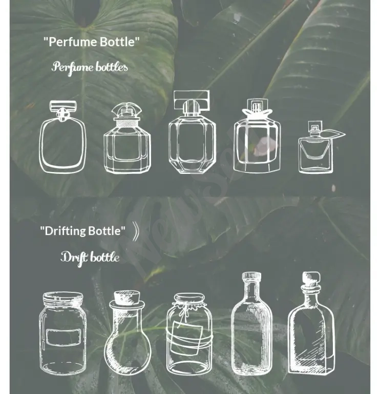 Cultural And Creative Dried Flower Bookmarks Handmade DIY Materials Pressed Flower Transparent Jar Specimen