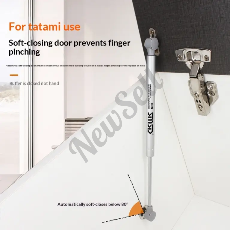 Ferrari Pneumatic Strut Cabinet Door