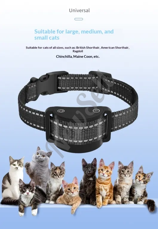 Remote Cat Training Device Rechargeable Model