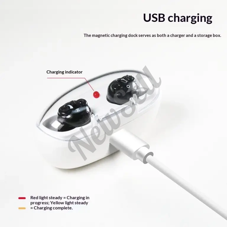 Hearing Aid Elderly Sound Amplifier Dual-device