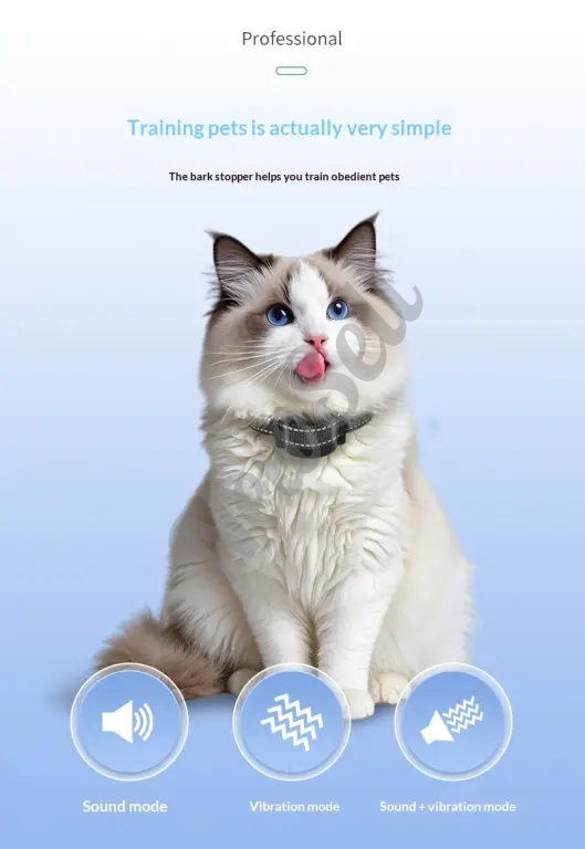 Remote Cat Training Device Rechargeable Model