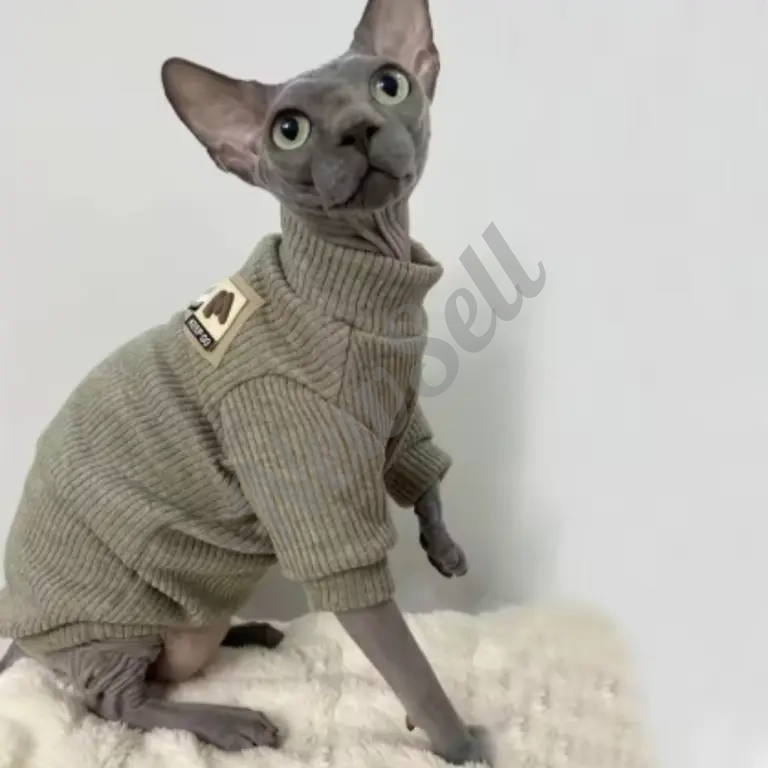 AutumnWinter Hairless Cat Clothes Devon Sphinx Cat Thickened
