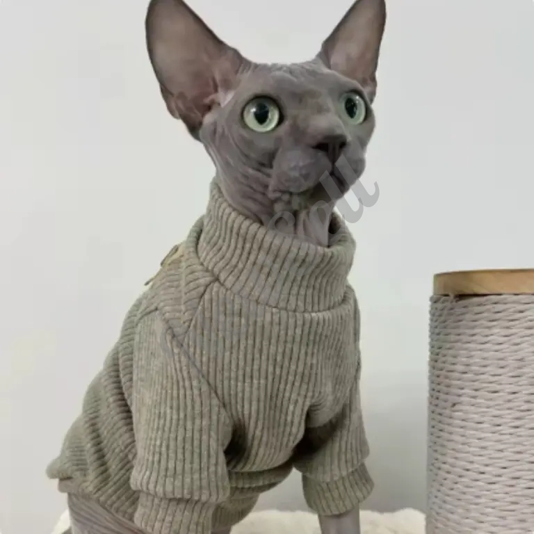 AutumnWinter Hairless Cat Clothes Devon Sphinx Cat Thickened