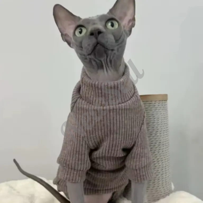AutumnWinter Hairless Cat Clothes Devon Sphinx Cat Thickened